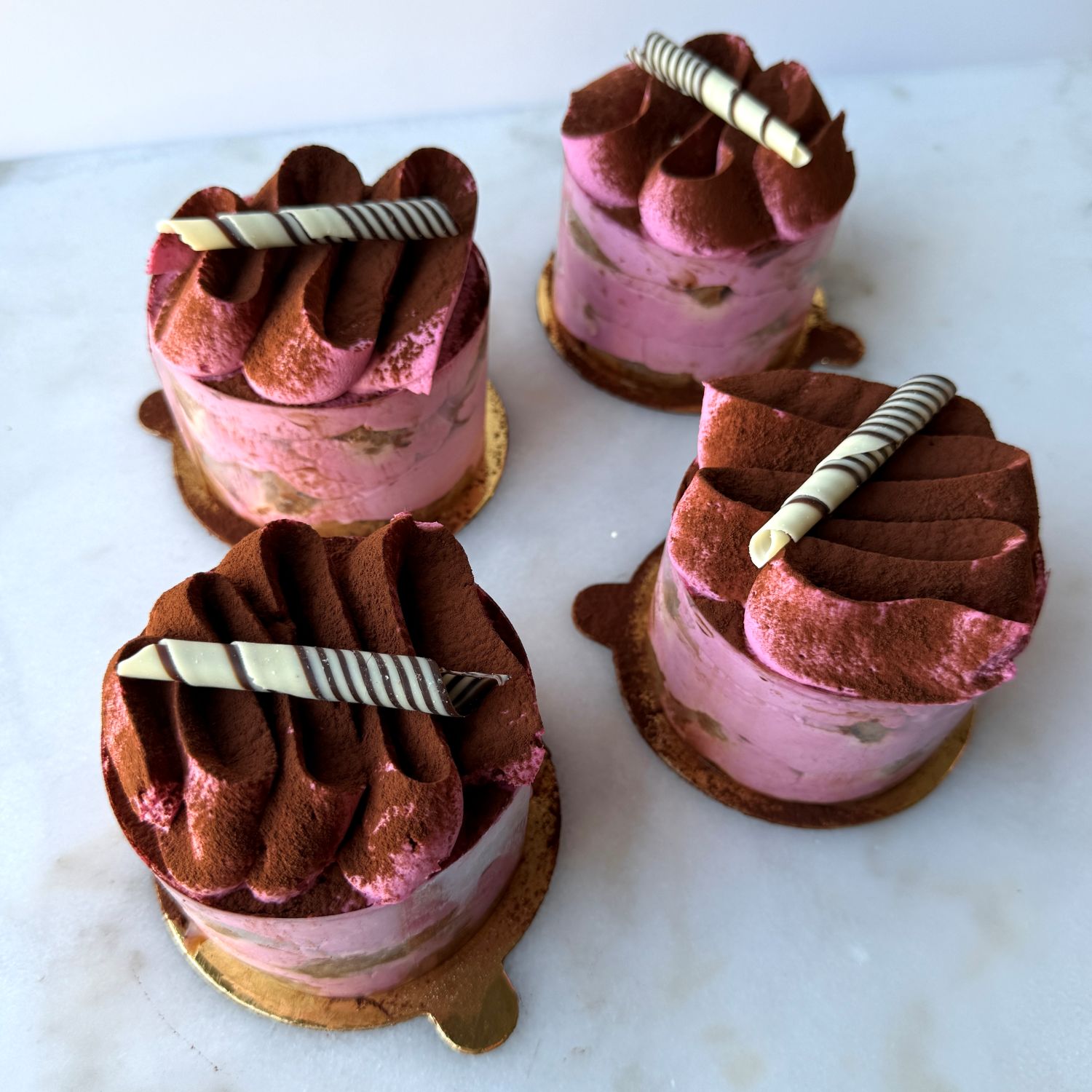 Chocolate Raspberry Tiramisu