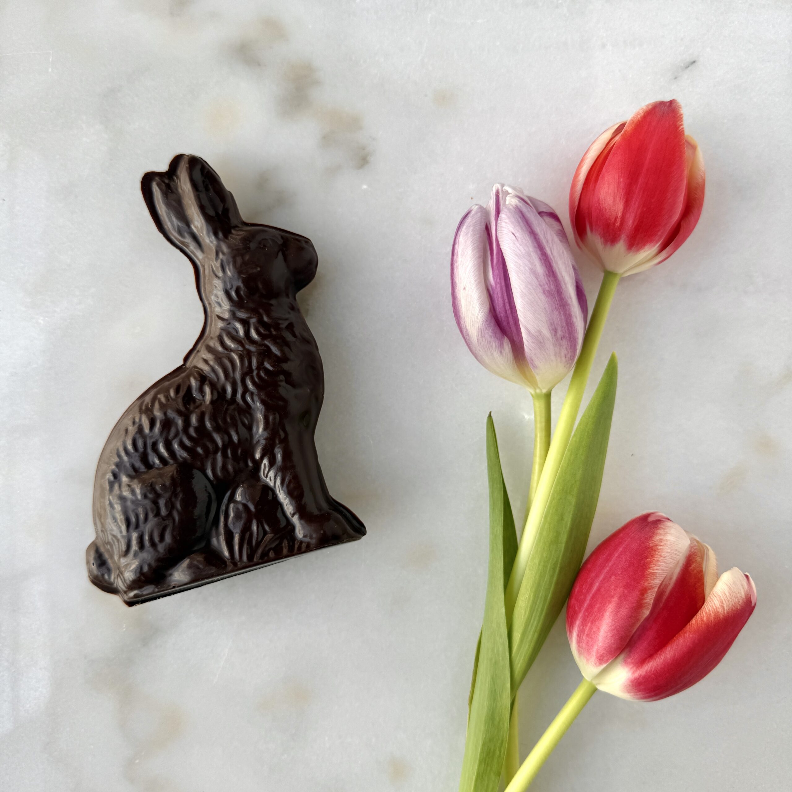 Large Dark Chocolate Bunny