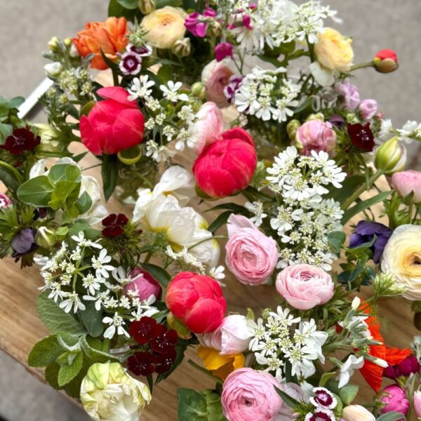 Bellaire Blooms Flower Cup