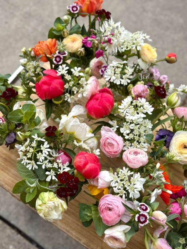 Bellaire Blooms Flower Cup
