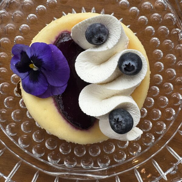 NY Style Cheesecake Bar with Strawberry Whipped Cream