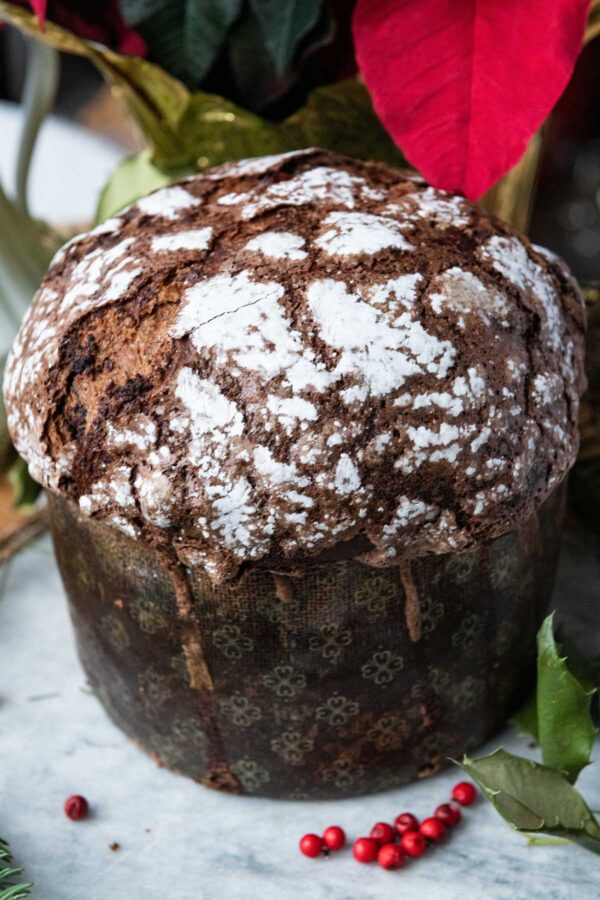 Triple Chocolate Panettone - Image 2